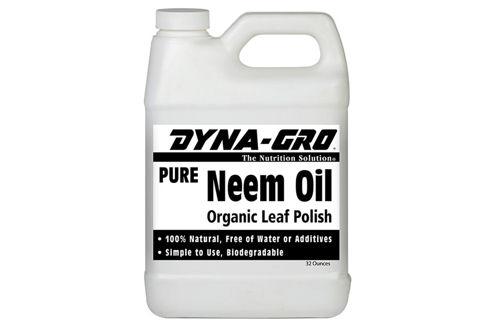 Neem Oil For Houseplants My Blog   Video Image 15 