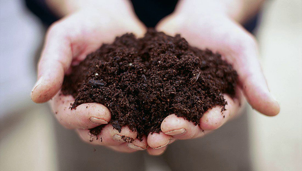 Tips For Making Or Buying Indoor Plant Soil My Blog